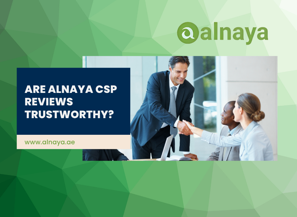 Alnaya CSP LLC Reviews: What Investigations Reveal