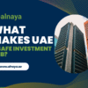 What Makes UAE a Safe Investment Hub?