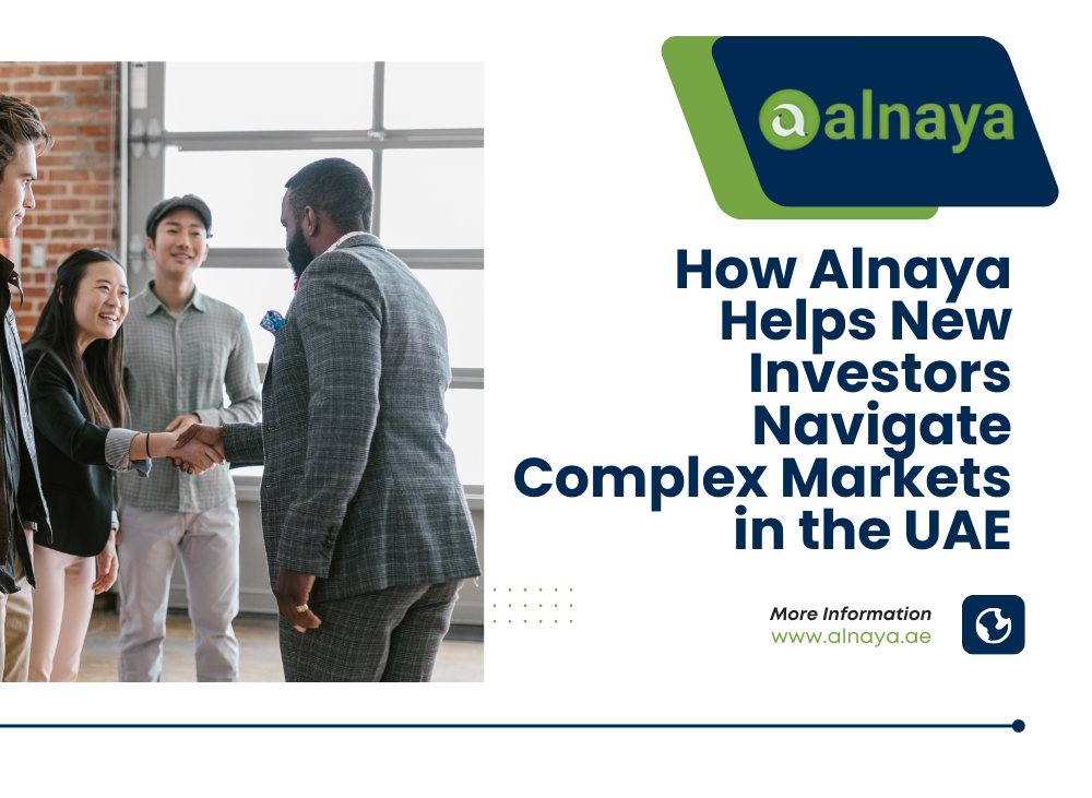 help for new investors UAE