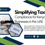 Alnaya CSP LLC | Transparent Business Solutions & Outsourcing in the UAE