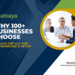 Alnaya CSP LLC | Transparent Business Solutions in the UAE